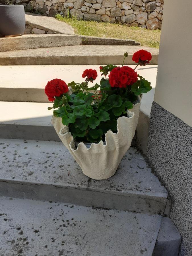 Apartman Danijela Zagorje Exterior foto
