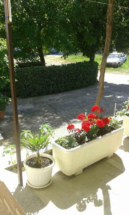 Apartman Danijela Zagorje Exterior foto