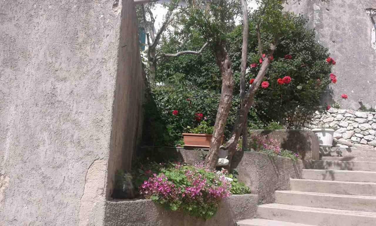 Apartman Danijela Zagorje Exterior foto